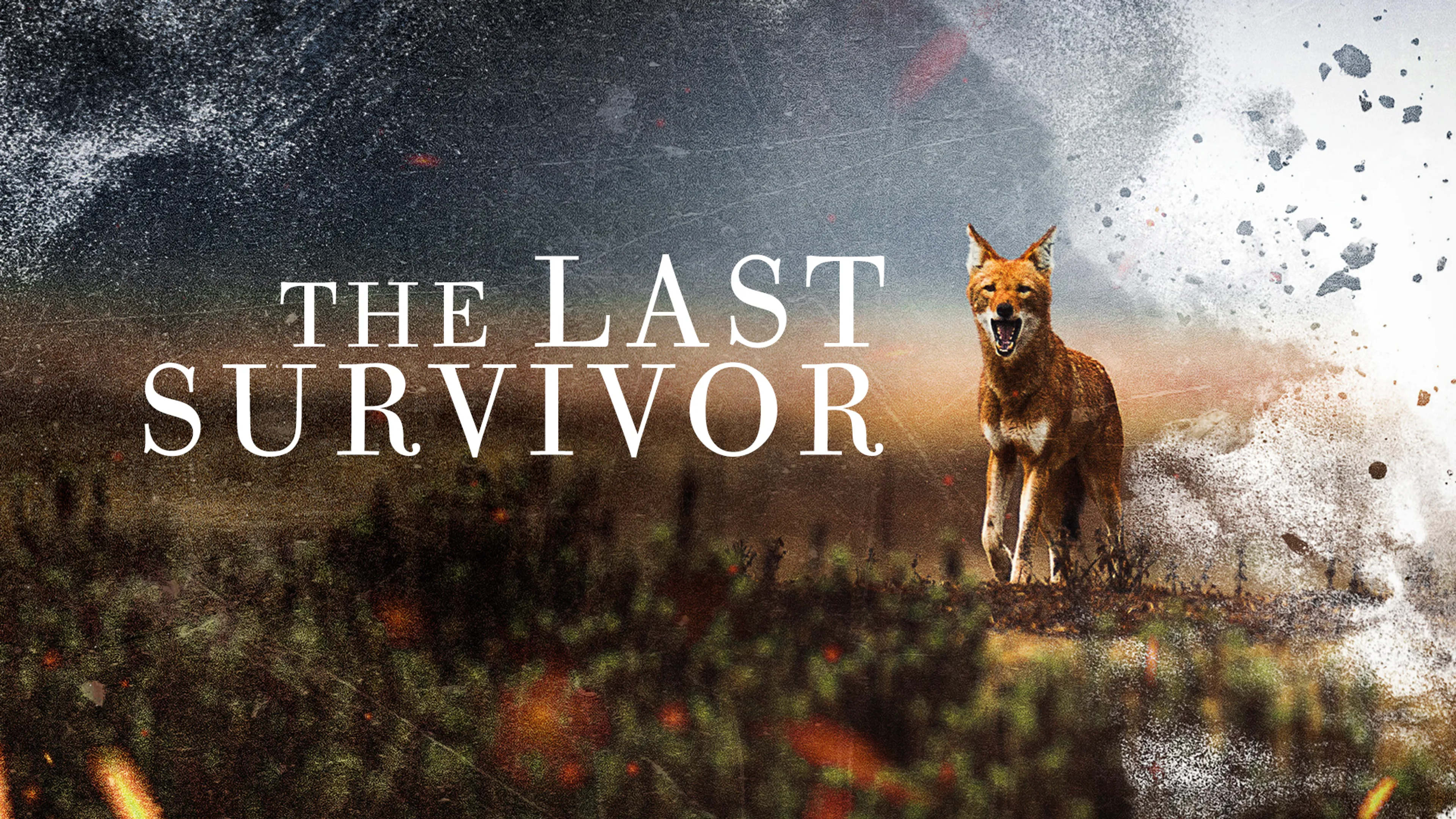 The Last Survivor poster